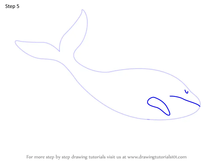 How to Draw Leviathan from Adventure Time (Adventure Time) Step by Step ...