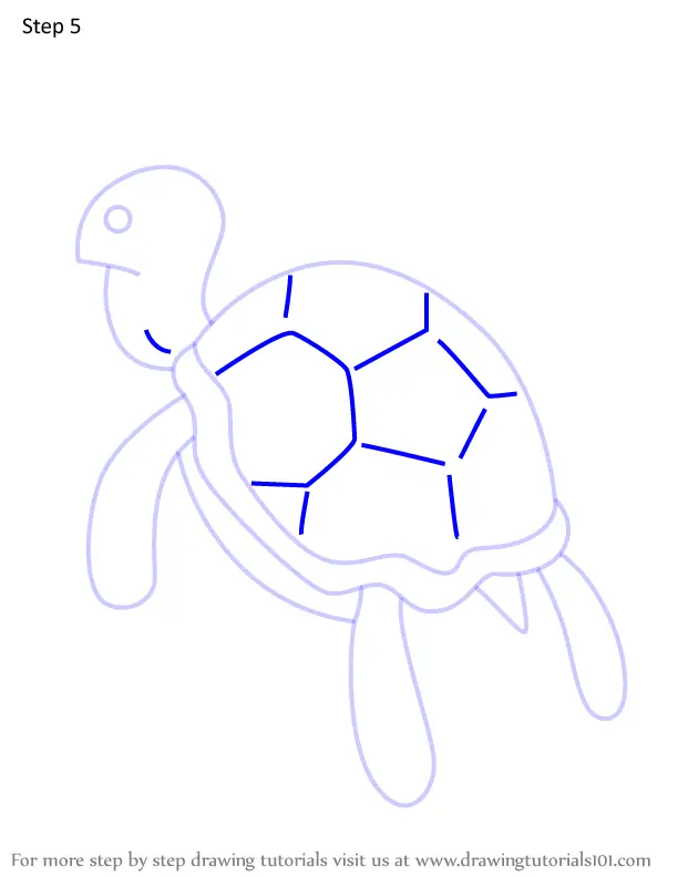 How to Draw Representative Sea Turtle from Adventure Time (Adventure ...