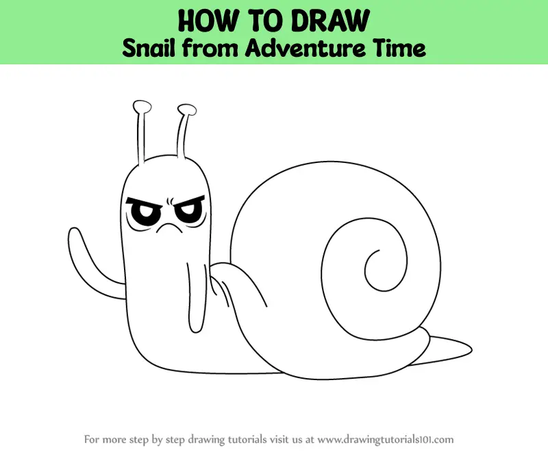 how to draw snail in speed draw｜TikTok Search