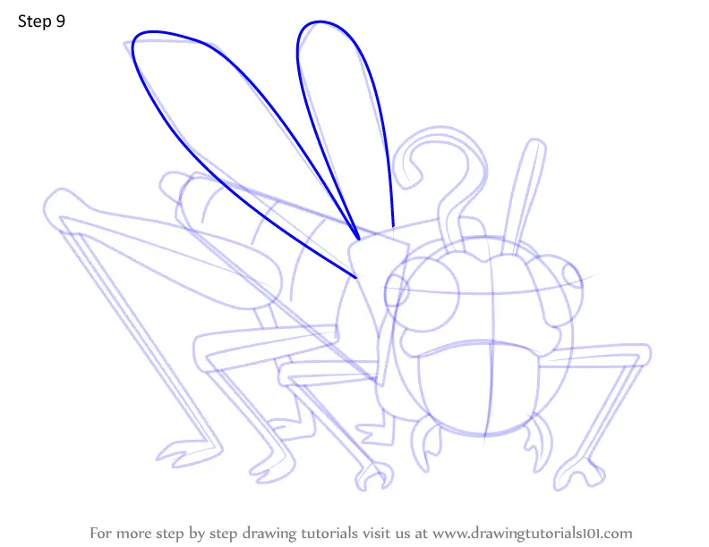 How to Draw Purple Locusts from Amphibia (Amphibia) Step by Step ...