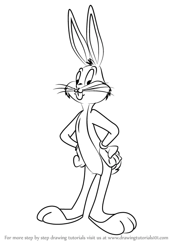 Bugs Bunny Drawing Step By Step