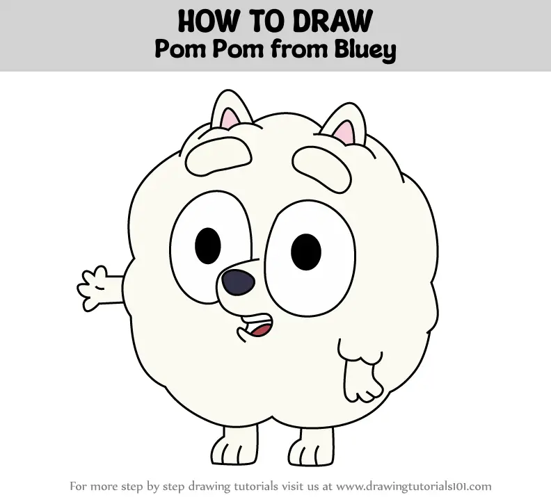 How to Draw Pom Pom from Bluey (Bluey) Step by Step