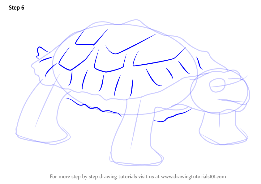 How to Draw Pauline Proganochelys from Dinosaur Train (Dinosaur Train ...