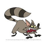 How to Draw Raccoons from Middlemost Post