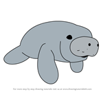 How to Draw Manatees from Octonauts