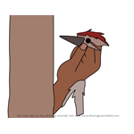 How to Draw Woodpecker from Oobi