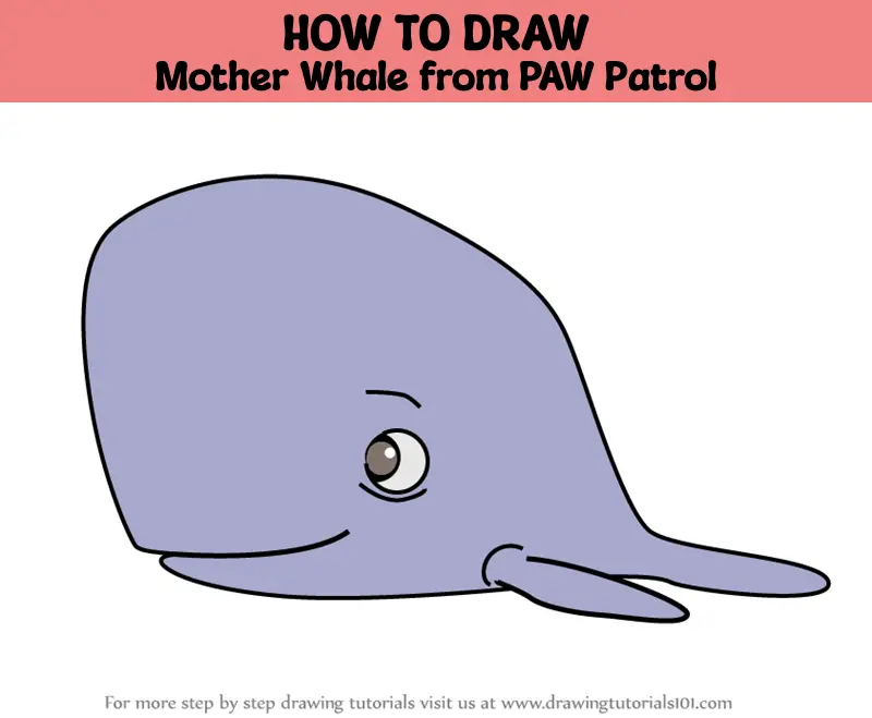 How to Draw Mother Whale from PAW Patrol (PAW Patrol) Step by Step ...