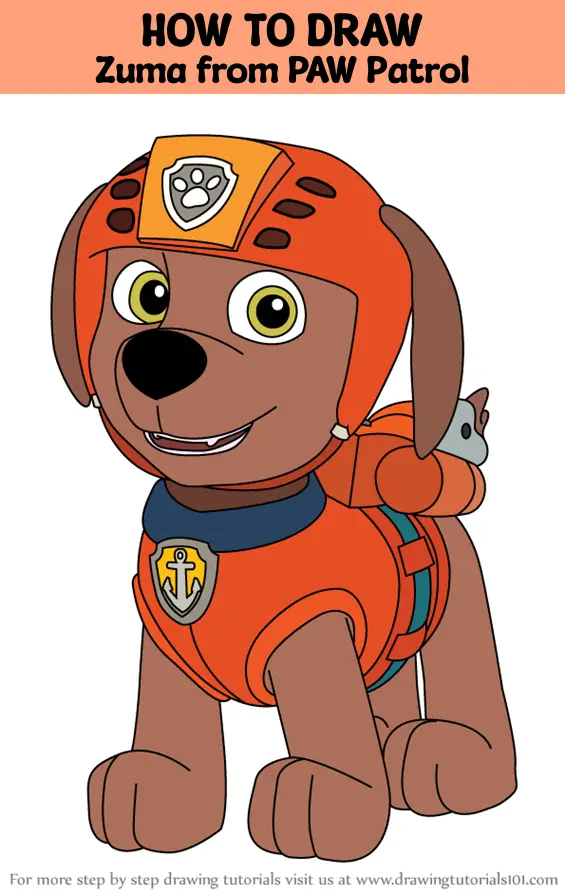 How to Draw Zuma, the Water-loving Pup from PAW Patrol