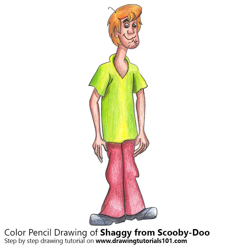 How to Draw Shaggy from ScoobyDoo (ScoobyDoo) Step by Step