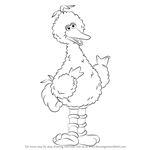 How to Draw Big Bird from Sesame Street