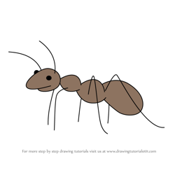 How to Draw Ant from Smiling Friends