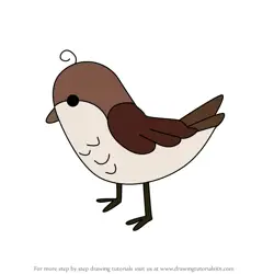 How to Draw Bird from Tish Tash