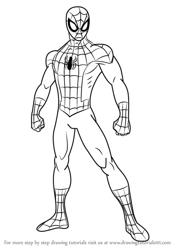 How to Draw Spiderman step by step  16 Easy Phase  Video