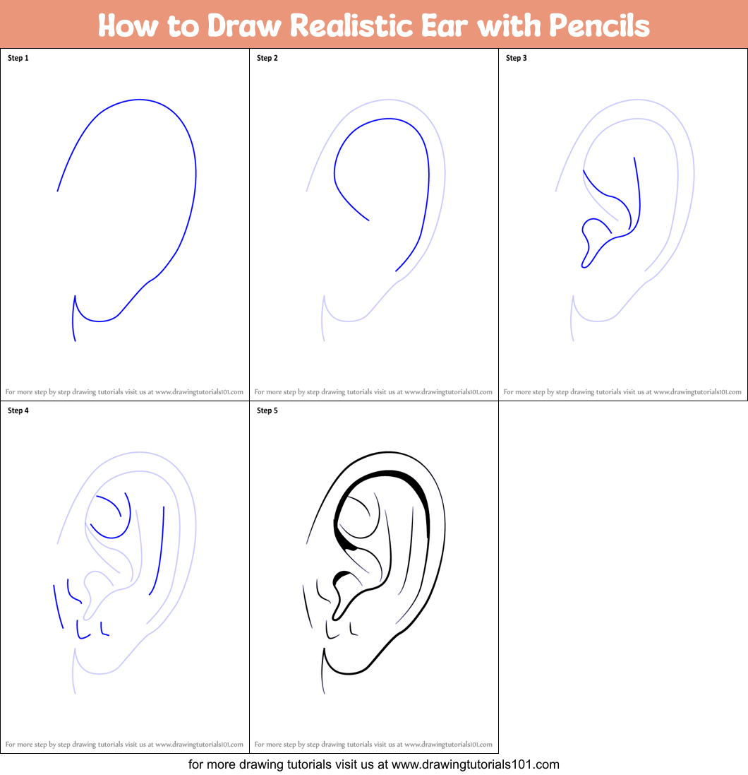 How to Draw Realistic Ear with Pencils (Ears) Step by Step