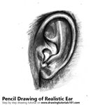 Realistic Ear with Pencils Pencil Sketch
