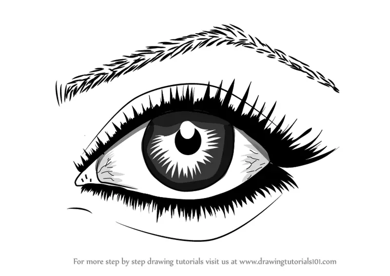 Step by Step How to Draw Realistic Eyes With Pencil