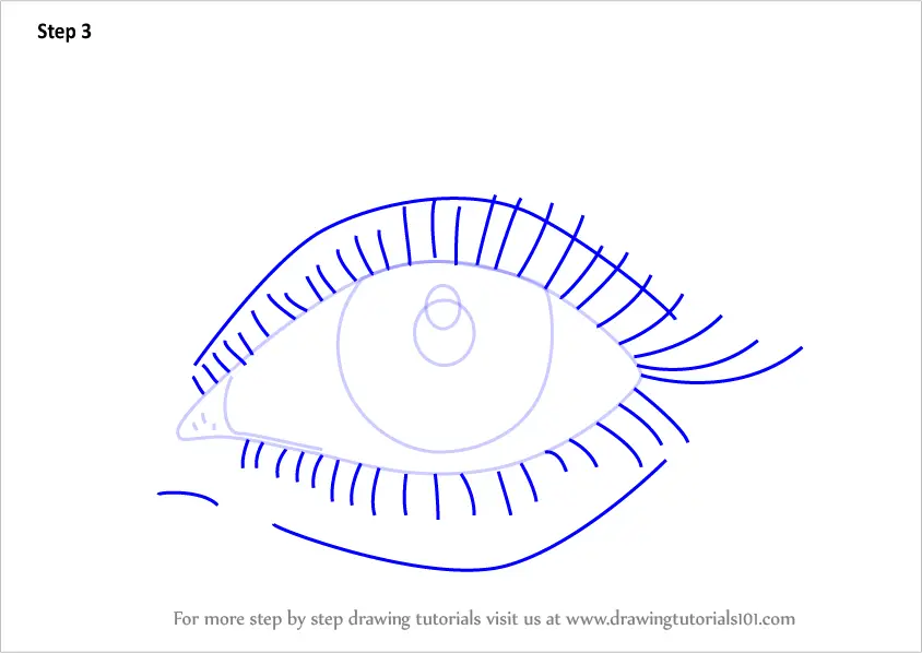 How to Draw Realistic Eyes With Pencil (Eyes) Step by Step ...