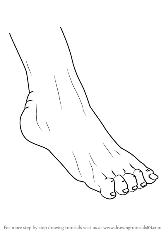 Learn How to Draw Realistic Foot with Pencils (Feet) Step by Step