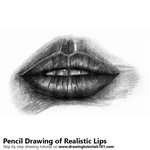 Realistic Lips Pencil Sketch