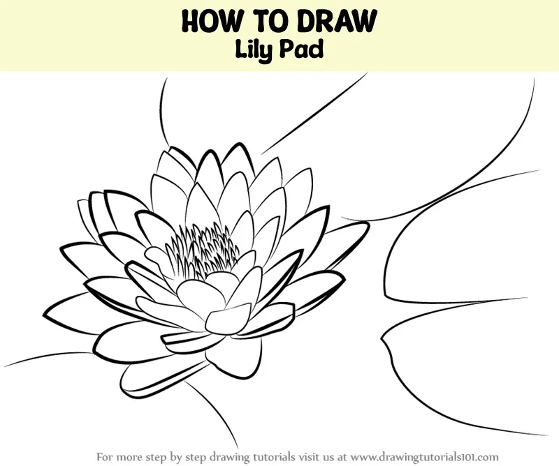 How to draw a Lily flower || Easy flower drawing tutorial - video  Dailymotion