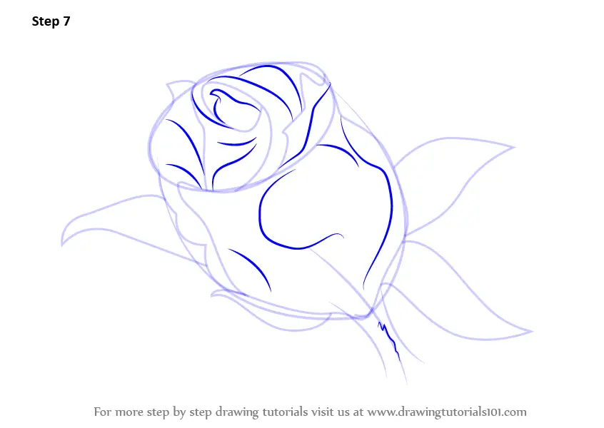 How to Draw a Beautiful Rose (Rose) Step by Step | DrawingTutorials101.com