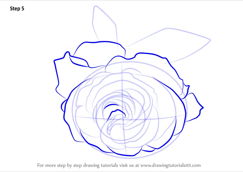 How to Draw a Cherry Red Rose (Rose) Step by Step | DrawingTutorials101.com