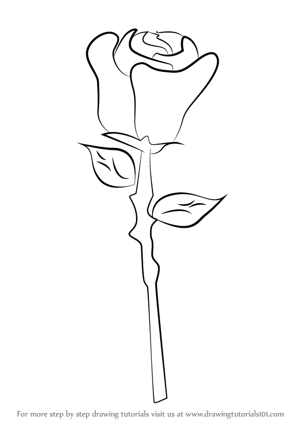Learn How To Draw A Rose Easy Rose Step By Step Drawing Tutorials