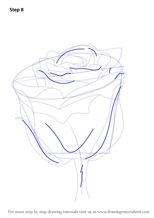 Learn How to Draw a Rose with Stem (Rose) Step by Step ...