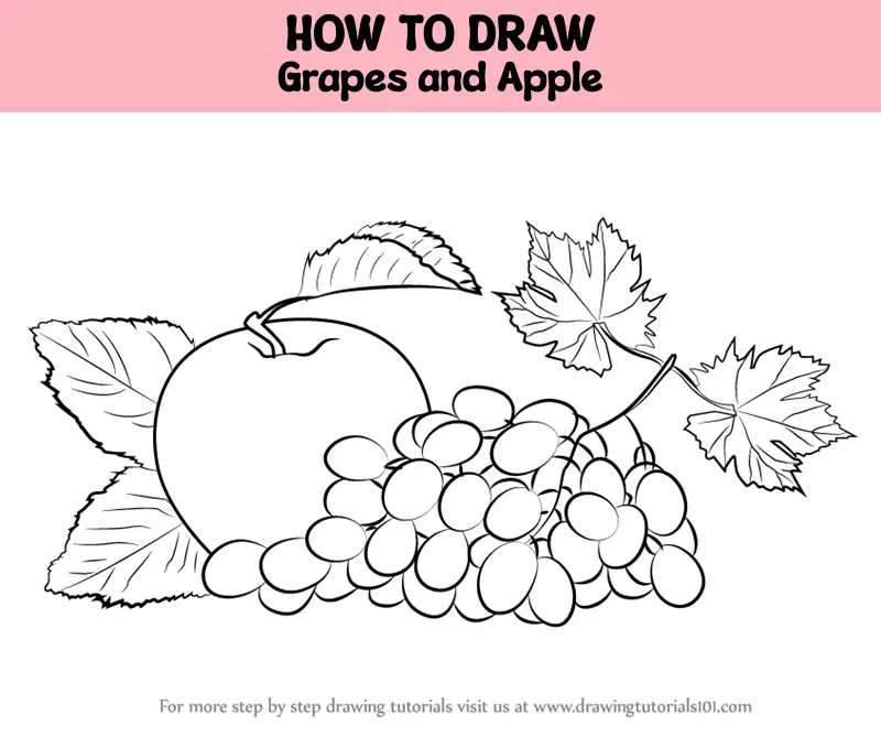 How to draw grapes//अंगूर का गुच्छा//grapes drawing step by Step//grapes  drawing with pencil shade's - YouTube