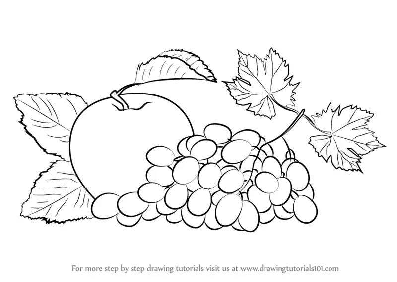 grapes bunch with leaves drawing painted outline 10582788 Vector Art at  Vecteezy