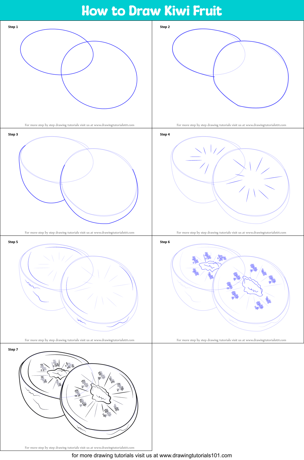 How to Draw Kiwi Fruit (Fruits) Step by Step