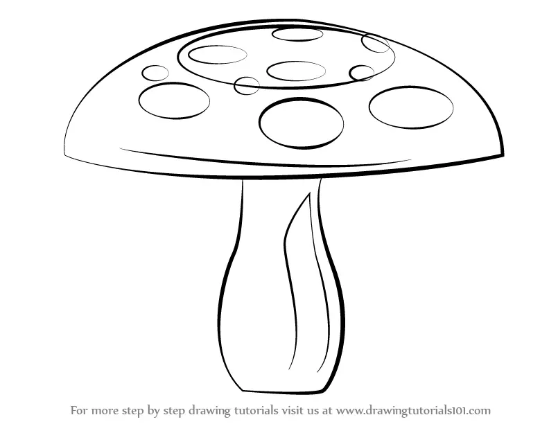 Premium Vector | Sketch mushroom. nature ingredients, tasty mushrooms  champignon portobello. isolated vegetarian food, gourmet forest elements  vector set. sketch mushroom raw, champignon edible illustration