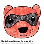 How to Draw a Black-Footed Ferret Face for Kids