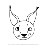 How to Draw a Caracal face for Kids