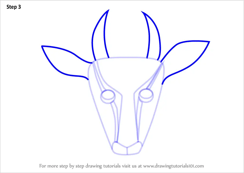 gazelle head drawing