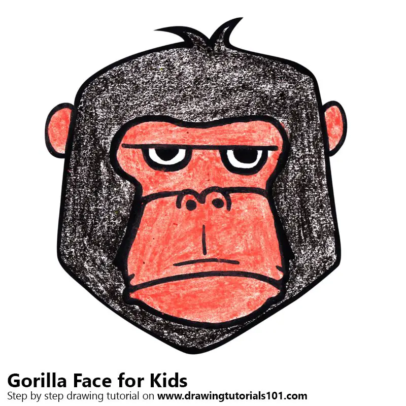 Gorilla Face Drawing For Kids