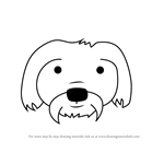How to Draw a Maltese Dog Face for Kids