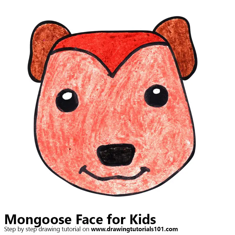 Learn How To Draw A Mongoose Face For Kids Animal Faces For Kids Step By Step Drawing Tutorials