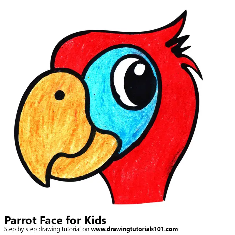 Learn How to Draw a Parrot Face for Kids (Animal Faces for Kids) Step