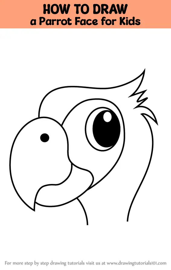 how to draw Parrot Face for Kids step 0 og