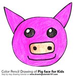 How to Draw a Pig Face for Kids