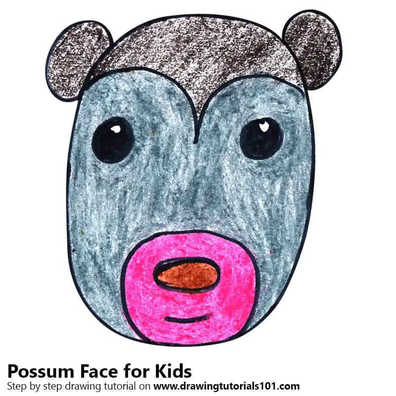fun to draw possum
