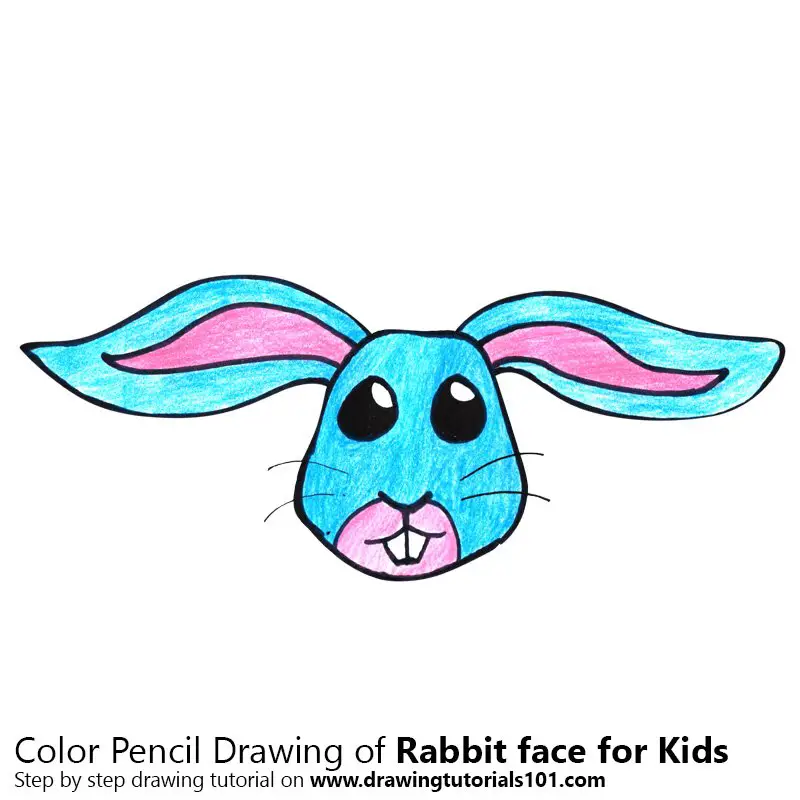 Rabbit Face for Kids Color Pencil Drawing