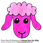 How to Draw a Sheep Face for Kids