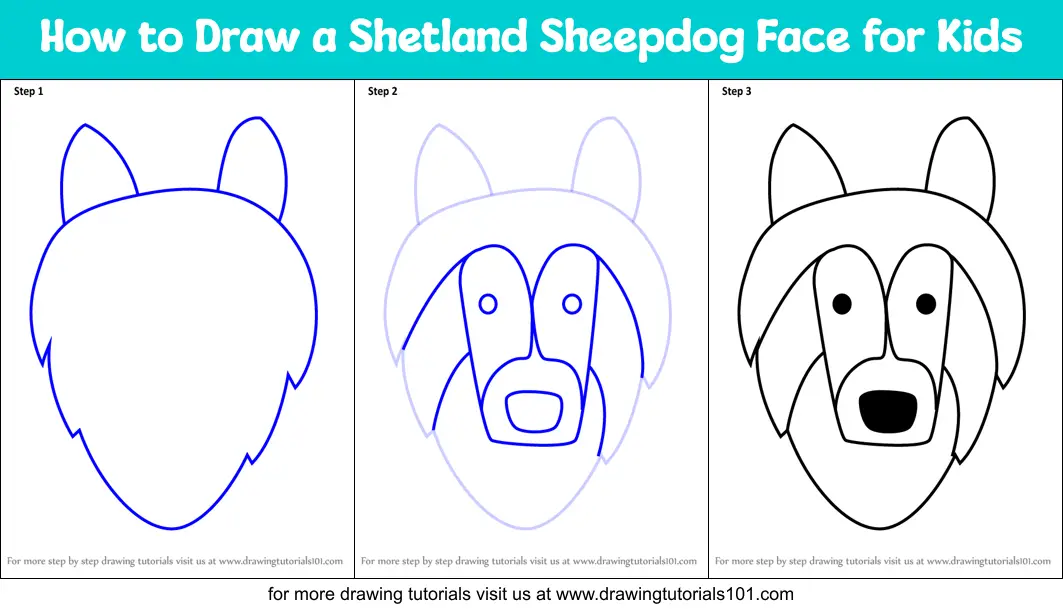shetland sheepdog drawing