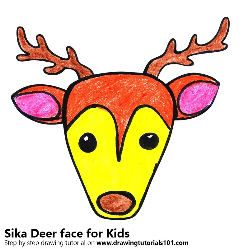 Learn How To Draw A Sika Deer Face For Kids Animal Faces For Kids