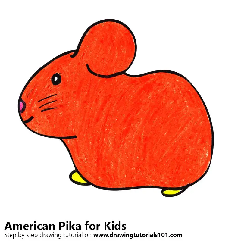 Learn How to Draw an American Pika for Kids (Animals for Kids) Step by