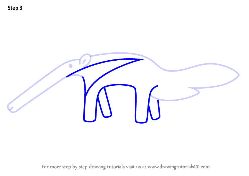 How to Draw Boat an Anteater for Kids (Animals for Kids) Step by Step ...