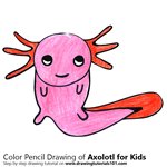 How to Draw an Axolotl for Kids