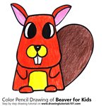 How to Draw a Beaver for Kids